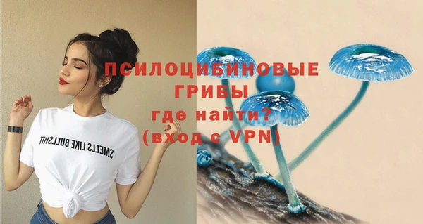 ГАЛЛЮЦИНОГЕННЫЕ ГРИБЫ Белокуриха