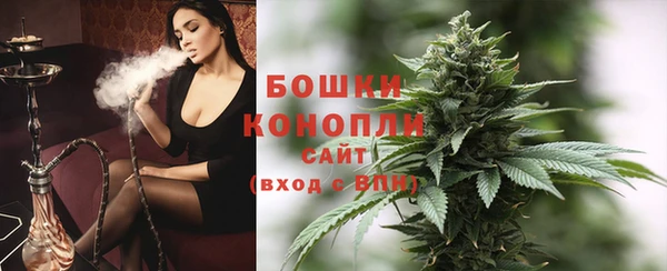 ГАЛЛЮЦИНОГЕННЫЕ ГРИБЫ Белокуриха