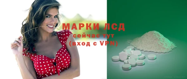 ГАЛЛЮЦИНОГЕННЫЕ ГРИБЫ Белокуриха