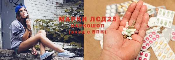ГАЛЛЮЦИНОГЕННЫЕ ГРИБЫ Белокуриха