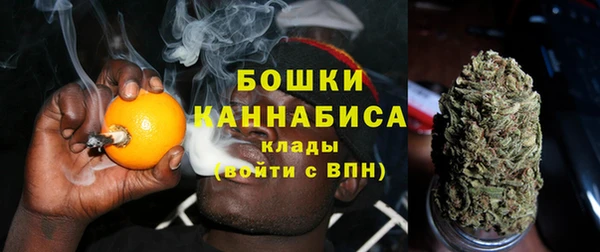 ГАЛЛЮЦИНОГЕННЫЕ ГРИБЫ Белокуриха