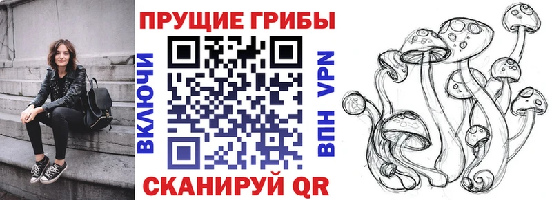Псилоцибиновые грибы Cubensis mega зеркало Богородск